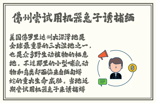 亲吻拨萝卜外国日本韩国动漫视频拨萝卜外国